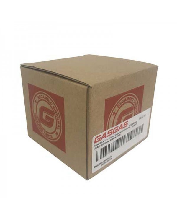 Escobillas Motor de Arranque Gas Gas EC 18-19