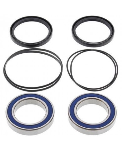 Kit cojinetes y retenes buje trasero 4MX TRX 400 y 300 todos los años