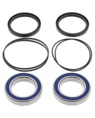 Kit cojinetes y retenes buje trasero 4MX TRX 400 y 300 todos los años