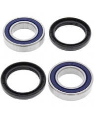 Kit cojinetes y retenes buje trasero 4MX  YFM 250 350 RAPTOR 04-13