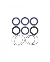 Kit cojinetes y retenes buje trasero Allballs  Yamaha YFM 700 Raptor / Yamaha YFZ 450 06-09