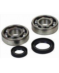 Kit rodamientos y retenes de cigüeñal yamaha yfz 350 BANSHEE 88-2011