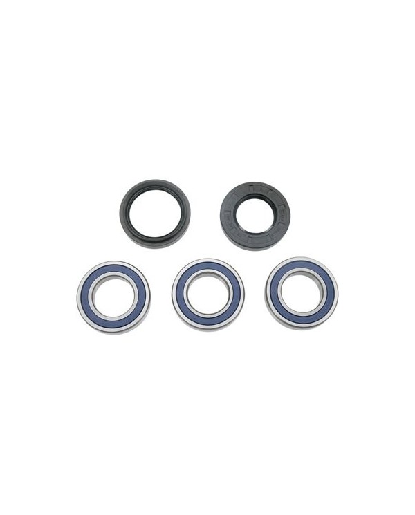 Kit rodamientos de buje trasero honda trx 250 sportrax 01-11