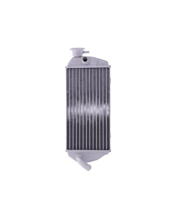 RADIADOR CON TAPON GAS GAS EC 125 07-15