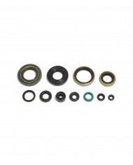 KIT RETENES MOTOR KAWASAKI KX 250 95-04