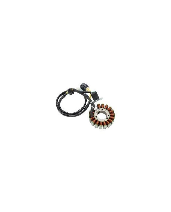 Estator generador magnético Kymco KXR 250 4T EURO II- MAXXER 250 4T
