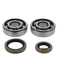 Kit Rodamientos Cigüeñal GAS GAS EC 125 03-11, MC 125 03-09, SM 125 03-09