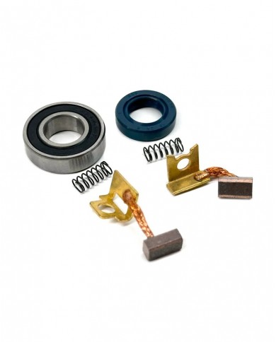 Kit de reparacion motor arranque electrico KTM 250-300 TPI 17-23 HUSQVARNA TE 250-300 17-23 GASGAS EC 250-300 21-23 BETA Kit de reparacion motor arranque electrico KTM 250-300 TPI 17-23 HUSQVARNA TE 250-300 17-23 GASGAS EC 250-300 21-23 BETA