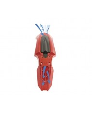 GUARDABARRO DELANTERO POLISPORT SM LINE Rojo CR 04