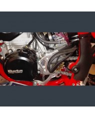 Protector Pinza Embrague P-Tech Beta RR 250/300 13-19