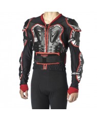 Peto Rainers Drago