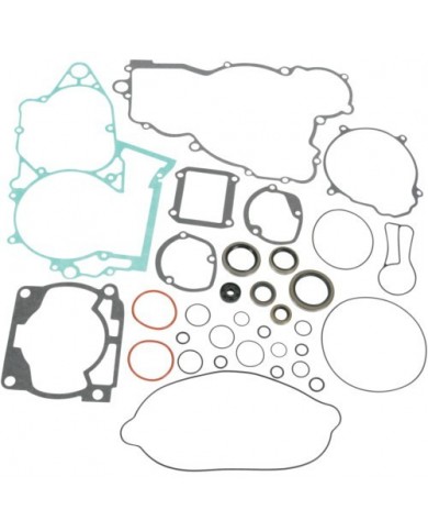 Kit Juntas Motor con retenes aceite   Te 250 11-14