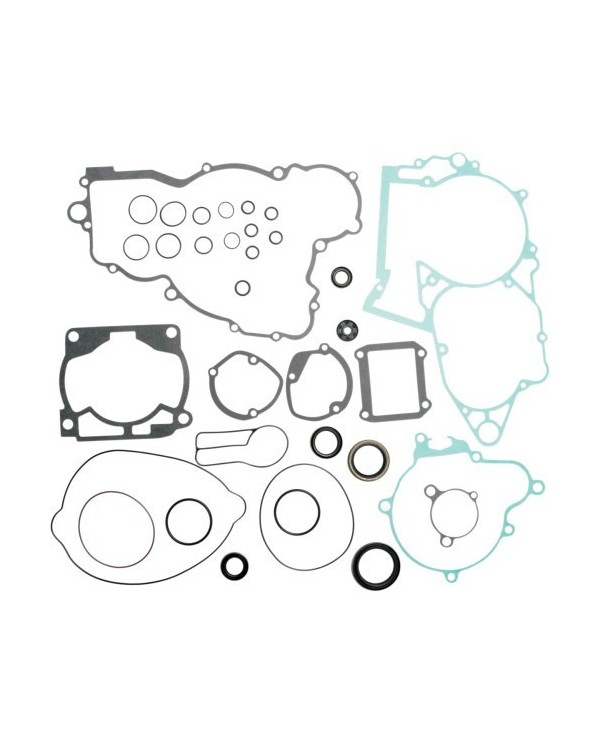 Kit Juntas Motor con retenes aceite   Te 300 11-14