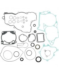 Kit Juntas Motor con retenes aceite   Te 300 11-14