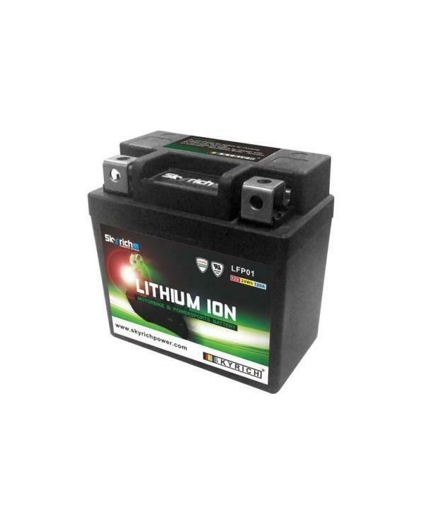 Bateria de litio Skyrich LFP01 (Impermeable + indicador de carga)