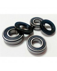 KIT REPARACIÓN RUEDA TRASERA SKF GAS GAS EC 250 (2003-2018)