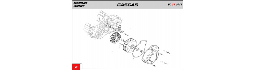 ENCENDIDO GAS GAS EC300R 